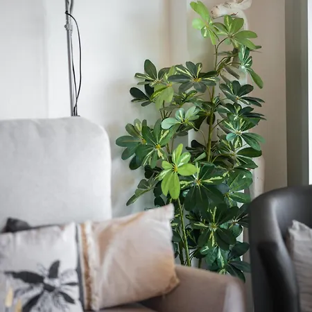 Appartamento 'l'alicante Proche' Gare, Terrasse, Vue Mentone